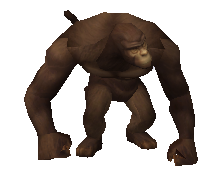 Maymun